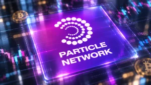 particle network hype